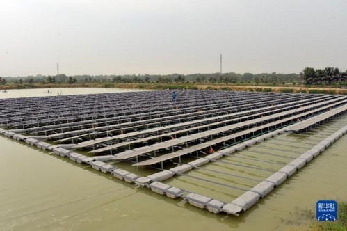 孟加拉國(guó)首個(gè)水上漂浮太陽(yáng)能光伏發(fā)電站 綠色能源革新與技術(shù)服務(wù)新篇章